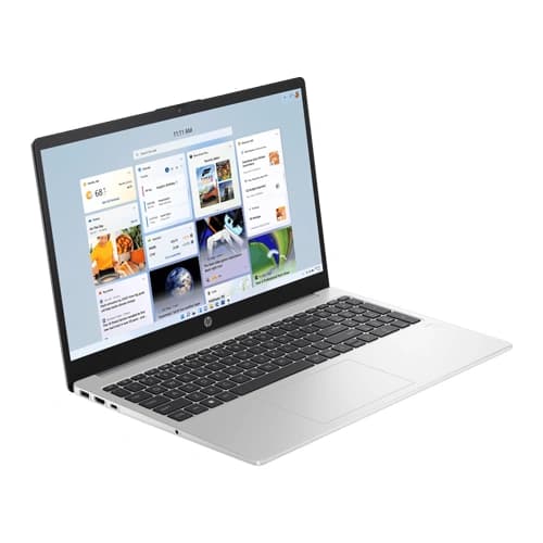 HP 255 G10 B1FW9PT Laptop (AMD Ryzen 3 -7320U/Silver)